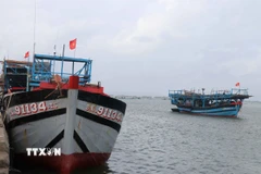 Đến nay 100% tàu cá được đánh dấu, kẻ số đăng ký đúng quy định và được đăng ký, cấp phép, cập nhật lên Cơ sở dữ liệu nghề cá quốc gia Việt Nam. (Ảnh: Đoàn Hữu Trung/TTXVN)