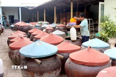 Chượp (hỗn hợp cá tươi và muối được trộn theo tỷ lệ gia truyền) được ủ trong lu đậy kín và phơi ngoài nắng - là phương pháp truyền thống lưu giữ từ trước đến nay. (Ảnh: Hồng Hiếu/TTXVN)