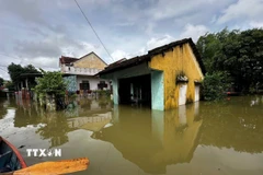 Nhiều địa phương ở Đà Nẵng ngập trở lại do mưa lớn. (Ảnh: Trần Lê Lâm/TTXVN)