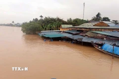 Nhiều khu dân cư nằm ở hạ lưu sông Bồ ngập sâu. (Ảnh: Hải Âu.TTXVN)