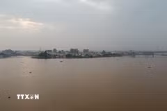 Dự báo mực nước sông Đồng Nai vùng hạ du lên xấp xỉ báo động 2. (Ảnh: Sỹ Tuyên/TTXVN)
