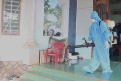 Phun hóa chất diệt muỗi. (Ảnh: TTXVN)