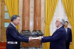 Tổng Bí thư, Chủ tịch nước Tô Lâm nhận Quốc thư từ Đại sứ Bồ Đào Nha Joaquim Alberto De Sousa Moreira De Lemos. (Ảnh: Thống Nhất/TTXVN)