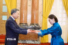 Tổng Bí thư, Chủ tịch nước Tô Lâm nhận Quốc thư từ Đại sứ Mông Cổ Hulan Ganbaatar. (Ảnh: Thống Nhất/TTXVN)