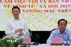 Phó thủ tướng Hồ Đức Phớc phát biểu tại buổi làm việc. (Ảnh: Công Phong/TTXVN)
