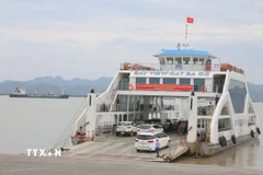 Ảnh minh họa. (Ảnh: Minh Thu/TTXVN)