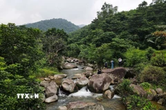 Khu vực trung tâm của bãi đá có hình khắc cổ nằm trên suối bao quanh là rừng rậm, những dãy đồi cao bao bọc cùng các thửa ruộng bậc thang. (Ảnh: Trọng Đạt/TTXVN)