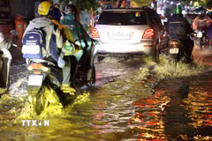 (Ảnh minh họa: Hồng Đạt/TTXVN)