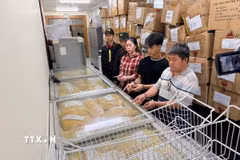 Mỳ thành phẩm chuẩn bị tung ra thị trường. (Ảnh: TTXVN phát)