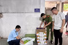 Hàng hóa vi phạm bị lực lượng chức năng phát hiện, tạm giữ. (Nguồn: Chi cục Quản lý thị trường thành phố Hà Nội)