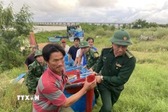 Lực lượng Đồn Biên phòng Tuy Hòa hỗ trợ người dân đưa tàu thuyền đến nơi an toàn. (Ảnh: Tường Quân/TTXVN)