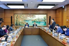 Đoàn đại biểu Quốc hội thành phố Hà Nội thảo luận ở tổ. (Ảnh: Doãn Tấn/TTXVN)