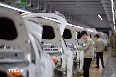 Công nhân làm việc tại nhà máy sản xuất xe của tập đoàn sản xuất ôtô Hàn Quốc Hyundai Motor. (Ảnh: AFP/TTXVN)
