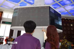 Nhà đầu tư theo dõi diễn biến thị trường cổ phiếu tại sàn HOSE. (Ảnh: Hứa Chung/TTXVN)