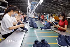 Sản xuất giày xuất khẩu. (Ảnh minh họa: Trần Việt/TTXVN)