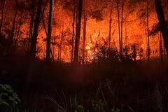 Hiện trường vụ cháy. (Nguồn: Báo Sài Gòn giải phóng)