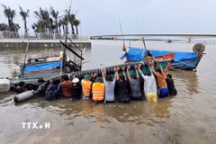 Lực lượng Bộ đội Biên phòng Quảng Trị phối hợp với lực lượng liên quan tiến hành trục vớt tàu, thuyền của ngư dân bị ảnh hưởng sau bão. (Ảnh: TTXVN phát)