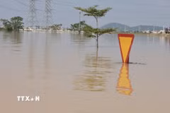 Những tuyến giao thông, biển báo chìm trong biển nước. (Ảnh: Trần Việt/TTXVN)