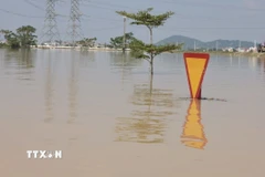 Những tuyến giao thông, biển báo chìm trong biển nước. (Ảnh: Trần Việt/TTXVN)