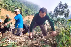 Người dân chặt hạ các thân cây đổ chắn ngang, mở lối đi trên tại điểm sạt lở trên con đường độc đạo nối bản Na Kho với các bản vùng ngoài và trung tâm xã Nga My. (Ảnh: Xuân Tiến/TTXVN)