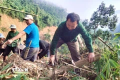 Người dân chặt hạ các thân cây đổ chắn ngang, mở lối đi trên tại điểm sạt lở trên con đường độc đạo nối bản Na Kho với các bản vùng ngoài và trung tâm xã Nga My. (Ảnh: Xuân Tiến/TTXVN)