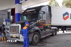 Cửa hàng xăng dầu Petrolimex số 111 (xã Mỹ Thọ, tỉnh Đồng Tháp) cung cấp nhiên liệu cho xe container. (Ảnh: Nhựt An/TTXVN)