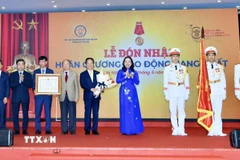 Phó Chủ tịch nước Võ Thị Ánh Xuân trao Huân chương Lao động hạng Nhất cho Hiệp hội. (Ảnh: Quốc Lũy/TTXVN)