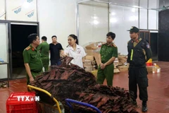 Hàng chục tấn thịt trâu, lợn tươi và thịt sấy không thành phẩm không đảm bảo vệ sinh an toàn thực phẩm chuẩn bị được đưa ra thị trường tiêu thụ. (Ảnh: TTXVN phát)