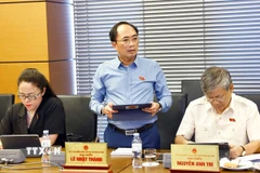 Đại biểu Quốc hội thành phố Hà Nội Lê Nhật Thành phát biểu. (Ảnh: Doãn Tấn/TTXVN)