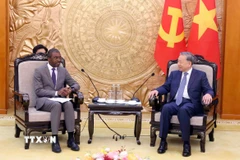 Tổng Bí thư Tô Lâm tiếp ông Lazare Eloundou Assomo, Giám đốc Trung tâm Di sản Thế giới của Tổ chức Giáo dục, Khoa học và Văn hóa của Liên hợp quốc (UNESCO). (Ảnh: Phạm Kiên/TTXVN)