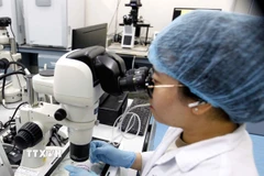 (Ảnh: Thanh Vũ/TTXVN)