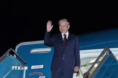 Tổng Bí thư Tô Lâm rời Hà Nội, lên đường thăm cấp Nhà nước tới Triều Tiên và dự Lễ kỷ niệm 80 năm thành lập Đảng Lao động Triều Tiên. (Ảnh: Thống Nhất/TTXVN)