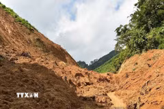 (Ảnh minh họa: Thanh Phúc/TTXVN phát)