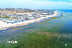 Huyện Thuận Nam, tỉnh Ninh Thuận, được chọn làm địa điểm xây dựng Nhà máy điện hạt nhân Ninh Thuận 1. (Ảnh: TTXVN)