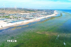 Huyện Thuận Nam, tỉnh Ninh Thuận, được chọn làm địa điểm xây dựng Nhà máy điện hạt nhân Ninh Thuận 1. (Ảnh: TTXVN)