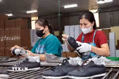 Sản xuất da giày. (Ảnh minh họa: Trần Việt/TTXVN)