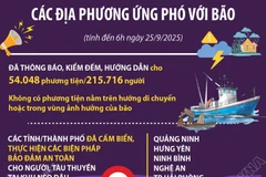Cập nhật tình hình ứng phó bão số 9 tại các địa phương