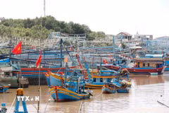 (Ảnh: Nguyễn Thanh/TTXVN)