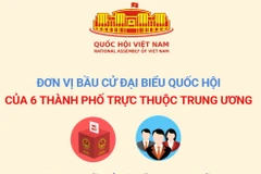 Đơn vị bầu cử đại biểu Quốc hội của 6 thành phố trực thuộc Trung ương