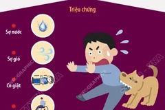Các triệu chứng của bệnh dại và cách phòng tránh