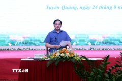 Phó Thủ tướng, Bộ trưởng Ngoại giao Bùi Thanh Sơn phát biểu tại buổi làm việc. (Ảnh: TTXVN phát)