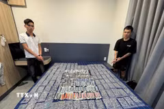 Các đối tượng và tang vật. (Ảnh: TTXVN phát)