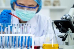 Ảnh minh họa. (Nguồn: Getty Images)