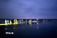 Lực lượng chức năng và người dân xuyên đêm tìm kiếm nạn nhân. (Ảnh: Công Tường/TTXVN)