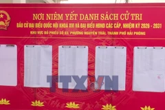 Phường rộng nhất Hải Phòng hướng về ngày hội lớn