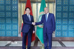 Tổng Thư ký Liên đoàn Arab Ahmed Aboul Gheit đón Chủ tịch nước Lương Cường. (Ảnh: Lâm Khánh/TTXVN)