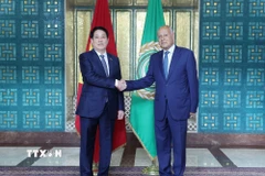 Tổng Thư ký Liên đoàn Arab Ahmed Aboul Gheit đón Chủ tịch nước Lương Cường. (Ảnh: Lâm Khánh/TTXVN)