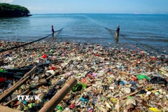 Rác thải nhựa trên bờ biển Sukaraja ở Lampung, Indonesia ngày 4/6/2025. (Ảnh: THX/TTXVN)