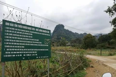 Phú Thọ: Thực hư thông tin hổ xuất hiện ở xã Ngọc Sơn