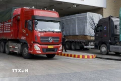 Các mặt hàng nhập khẩu chủ yếu phục vụ sản xuất và tiêu dùng như linh kiện ôtô, máy móc, thiết bị, vật liệu xây dựng và giày dép. (Ảnh minh họa: Quốc Khánh/TTXVN)